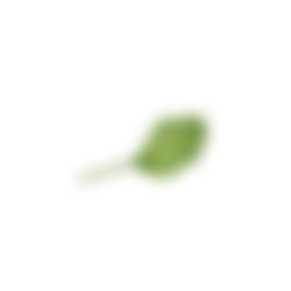 Green leaf decoration